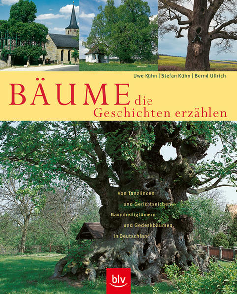 Bäume, die Geschichten erzählen