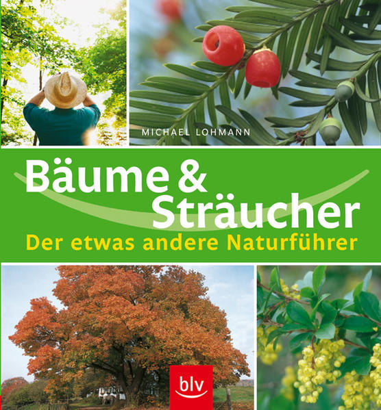 Bäume und Sträucher