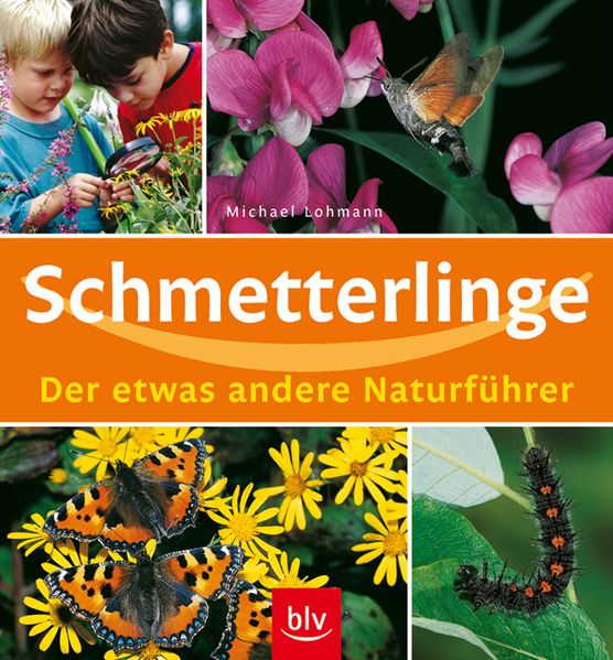 Schmetterlinge