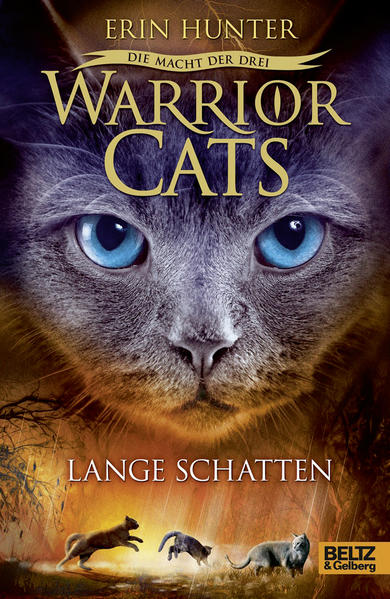 Warrior Cats - Die Macht der drei. Lange Schatten