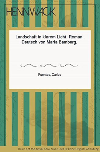 Landschaft in klarem Licht