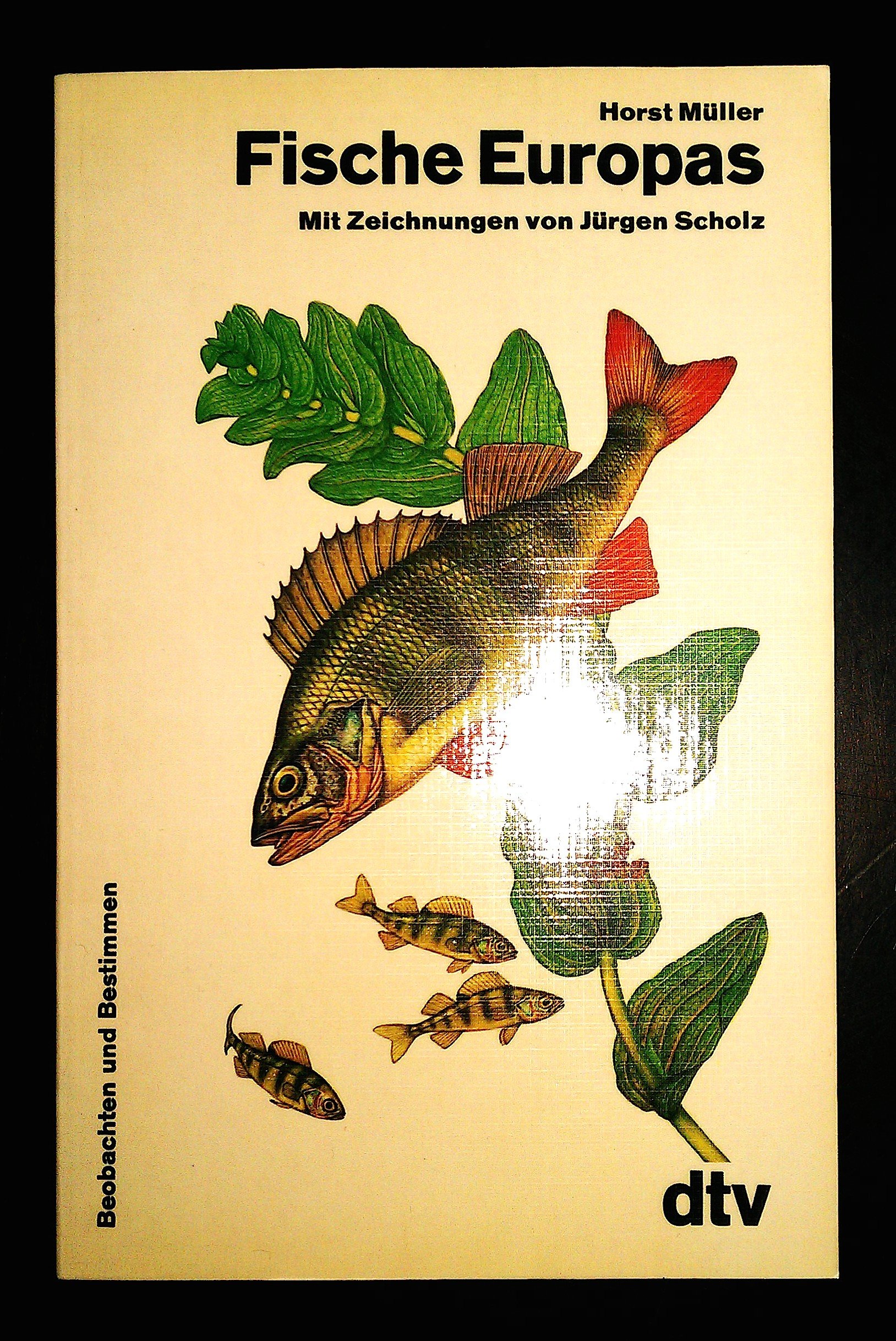 Fische Europas
