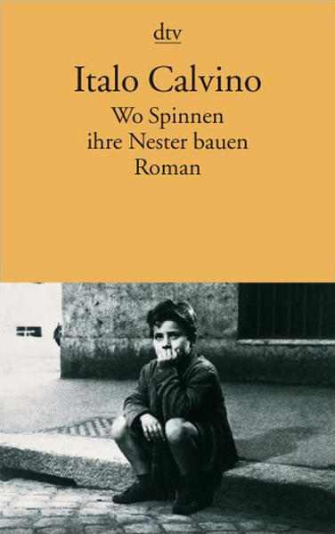Wo Spinnen ihre Nester bauen