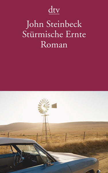 Stürmische Ernte
