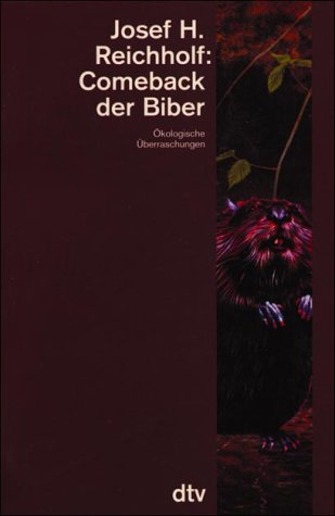 Comeback der Biber