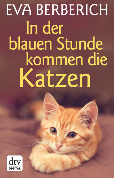In der Blauen Stunde kommen die Katzen