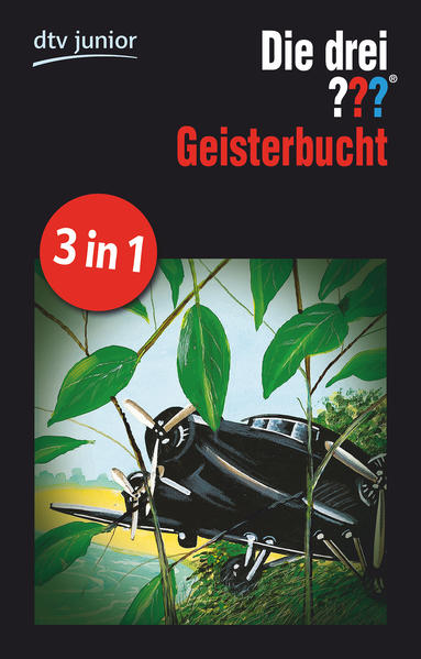 Die drei ??? Geisterbucht 1-3