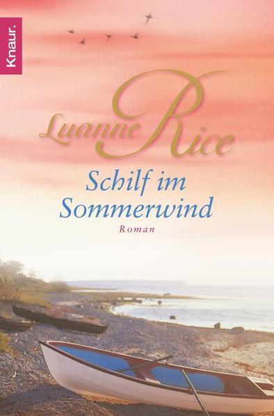 Schilf im Sommerwind