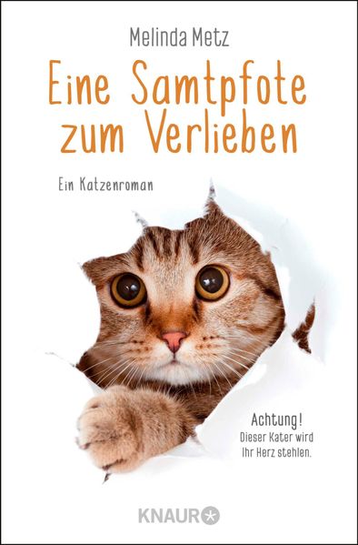 Eine Samtpfote zum Verlieben