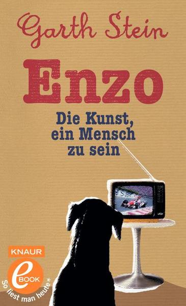 Enzo. Die Kunst, ein Mensch zu sein