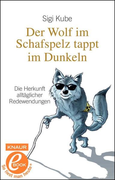 Der Wolf im Schafspelz tappt im Dunkeln