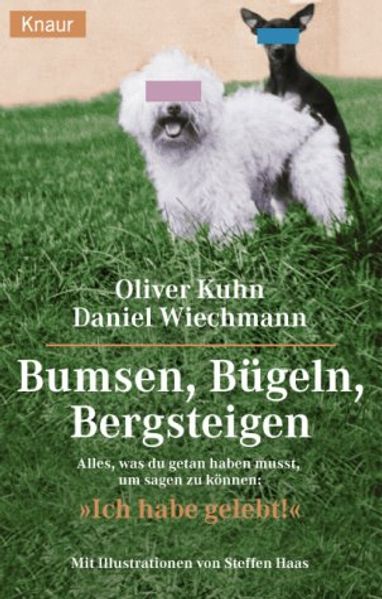 Bumsen, Bügeln, Bergsteigen