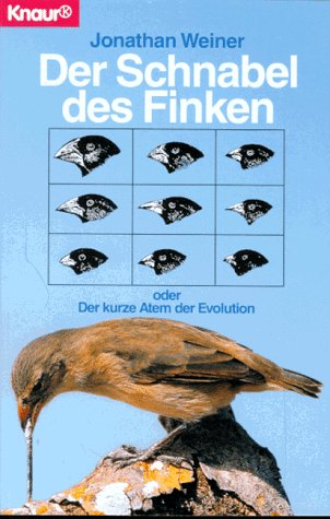 Der Schnabel des Finken