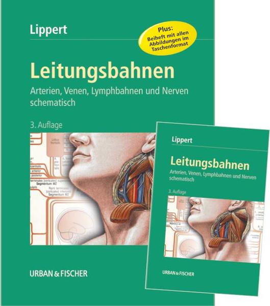 Leitungsbahnen