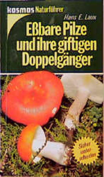 Essbare Pilze und ihre giftigen Doppelgänger
