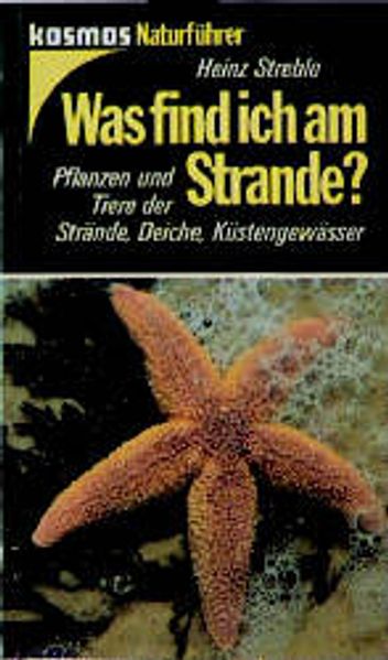 Was find ich am Strande?