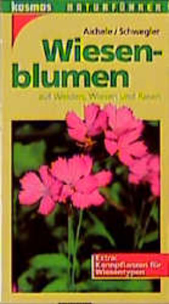 Wiesenblumen