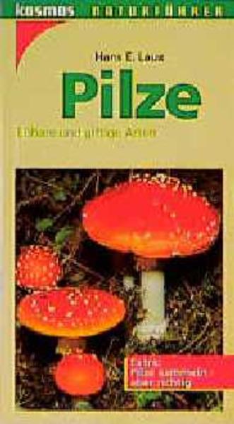 Pilze