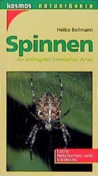 Spinnen
