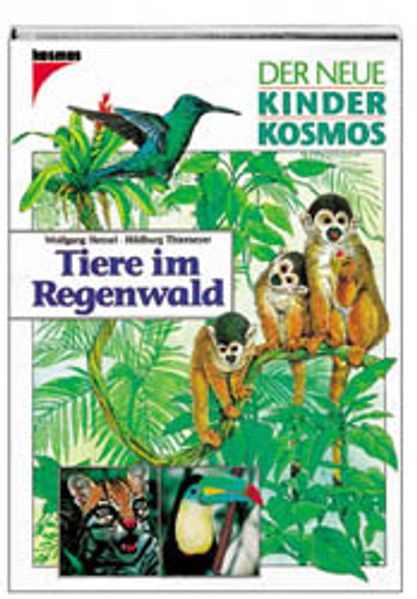 Tiere im Regenwald