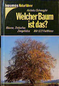 Welcher Baum ist das?