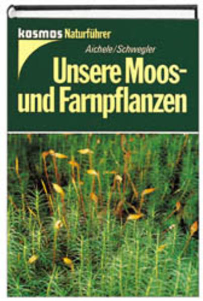 Unsere Moos- und Farnpflanzen