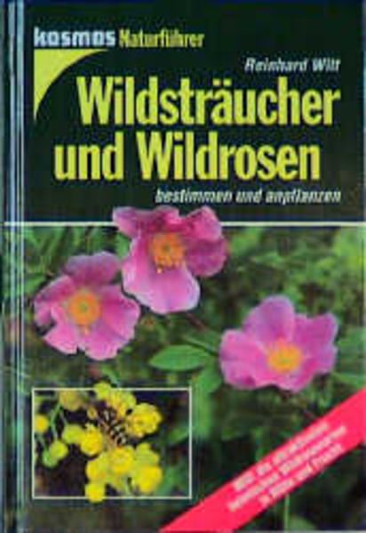 Wildsträucher und Wildrosen