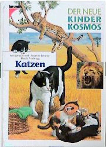 Katzen