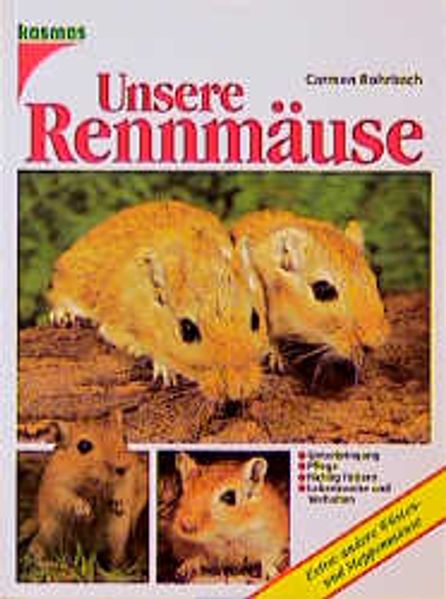 Unsere Rennmäuse