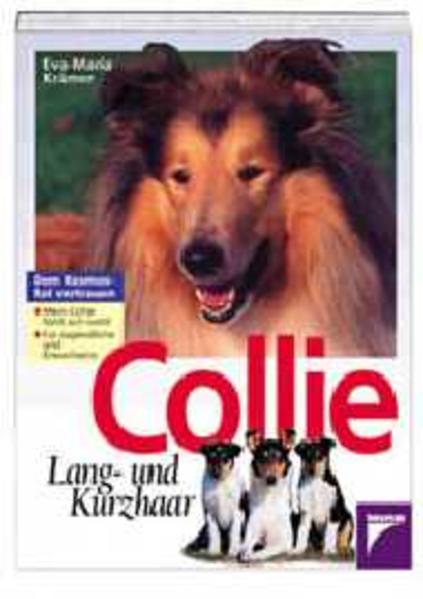 Collie