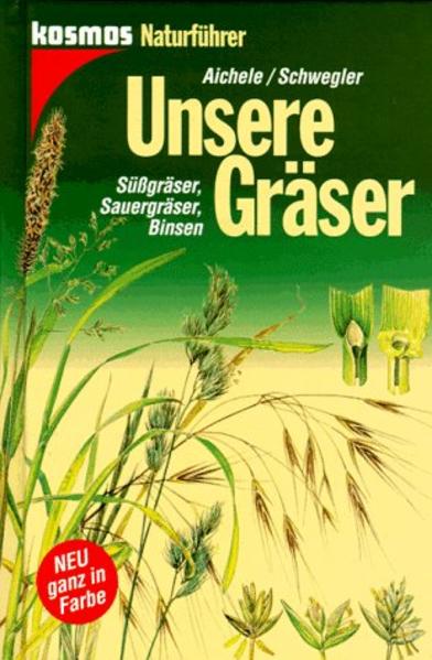 Unsere Gräser