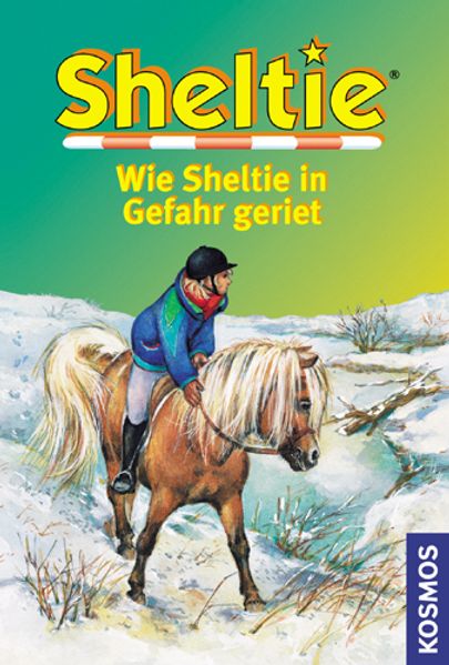 Wie Sheltie in Gefahr geriet