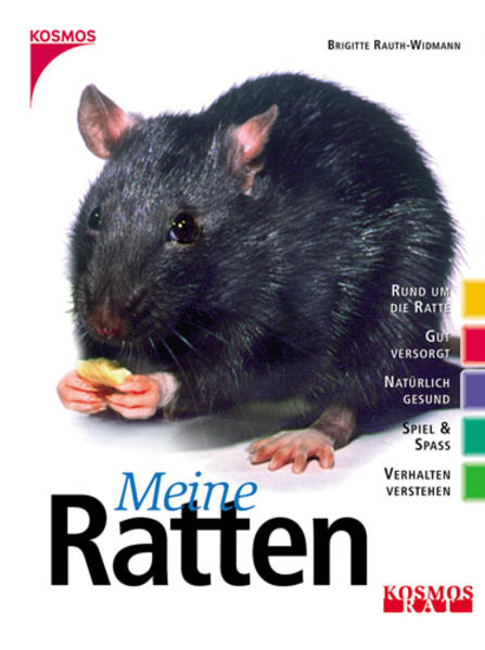 Meine Ratten