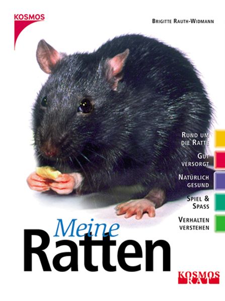 Meine Ratten