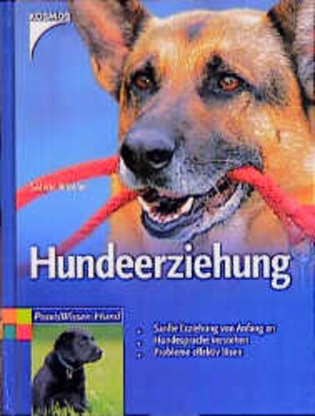 Hundeerziehung