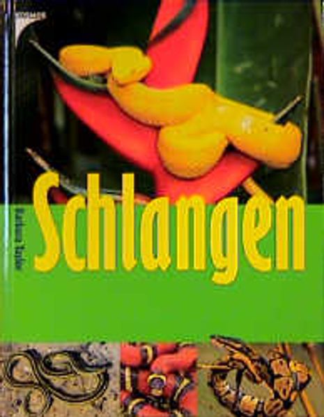 Schlangen