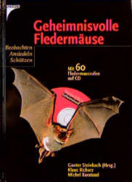 Geheimnisvolle Fledermäuse
