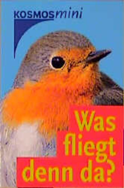 Was fliegt denn da?