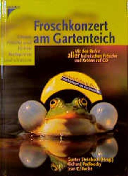 Froschkonzert am Gartenteich