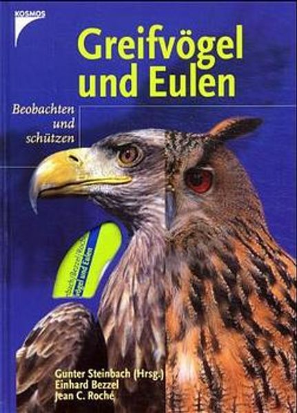 Greifvögel und Eulen