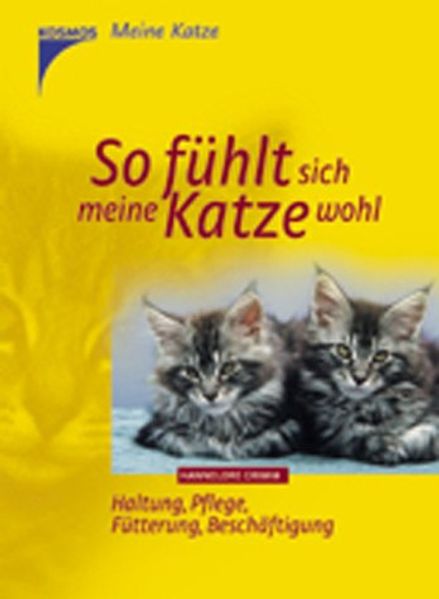 So fühlt sich meine Katze wohl