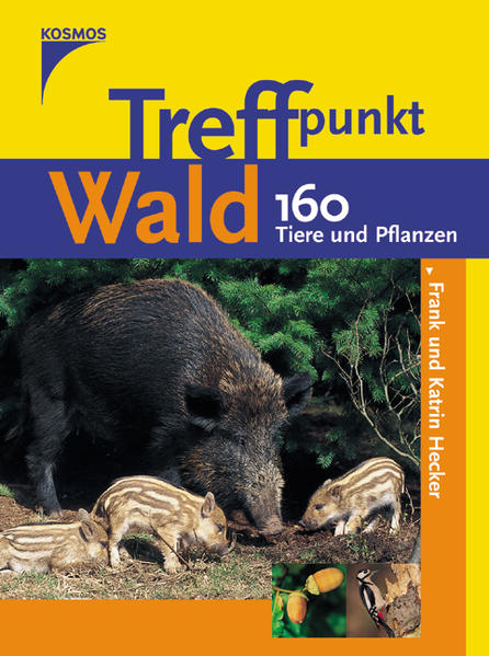 Treffpunkt Wald
