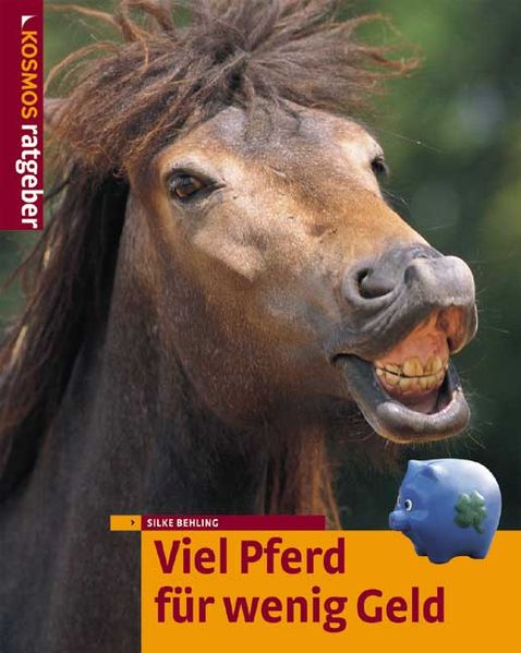 Viel Pferd für wenig Geld