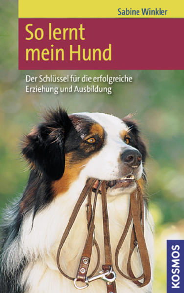 So lernt mein Hund
