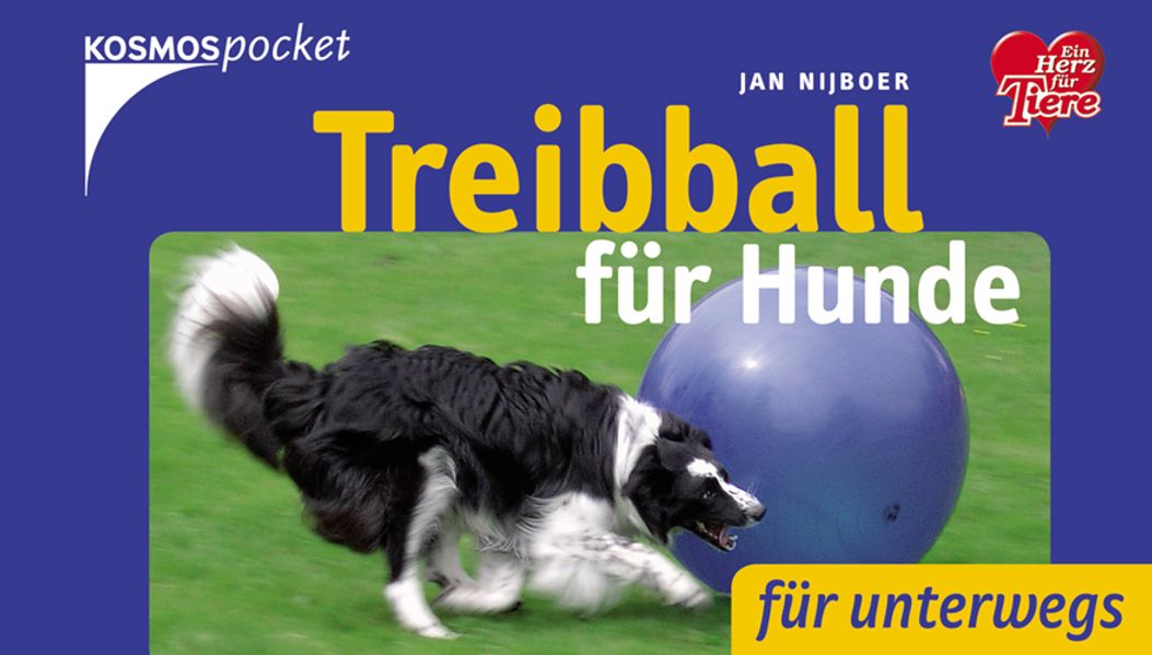 Treibball für Hunde