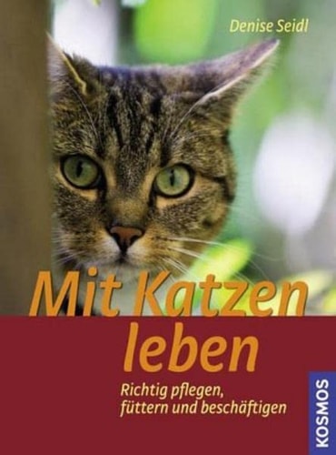 Mit Katzen leben