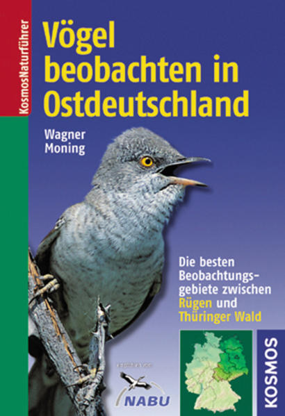 Vögel beobachten in Ostdeutschland