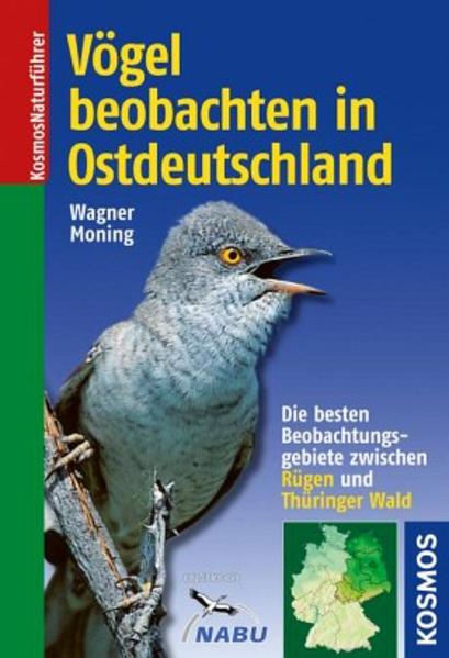 Vögel beobachten in Ostdeutschland