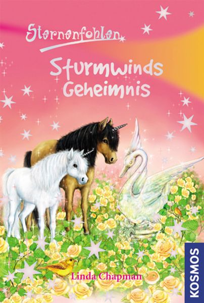 Sturmwinds Geheimnis