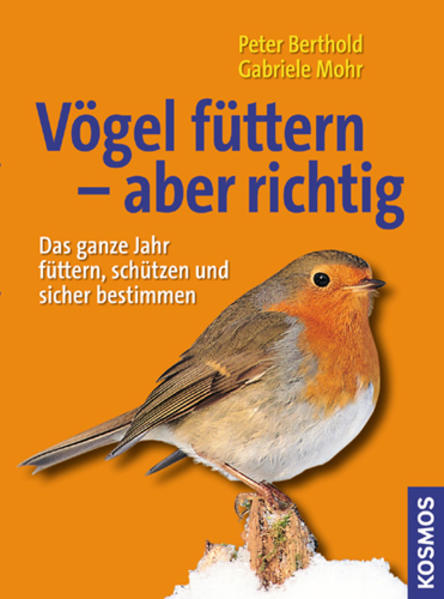Vögel füttern - aber richtig